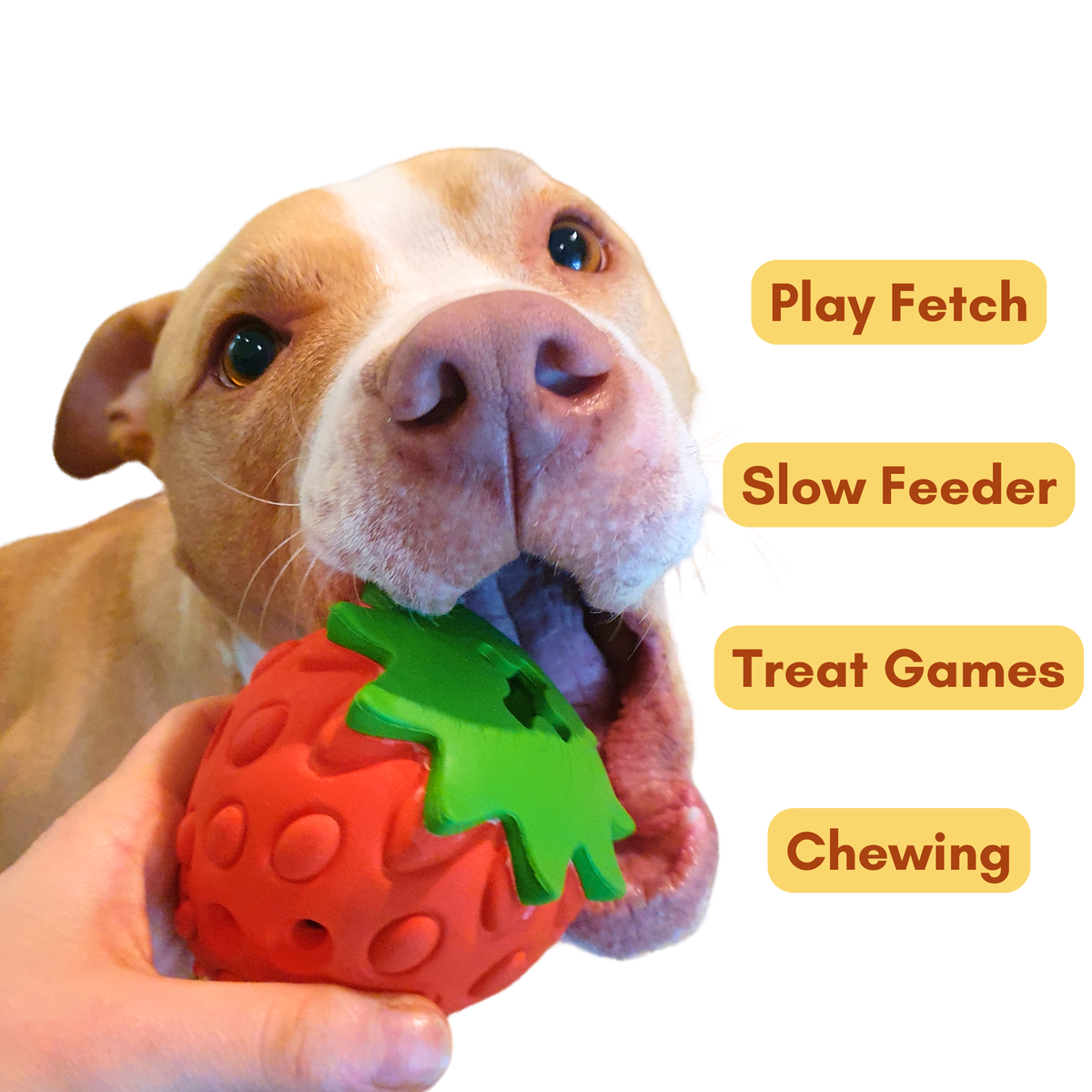 Fetch & Fill Berry toy