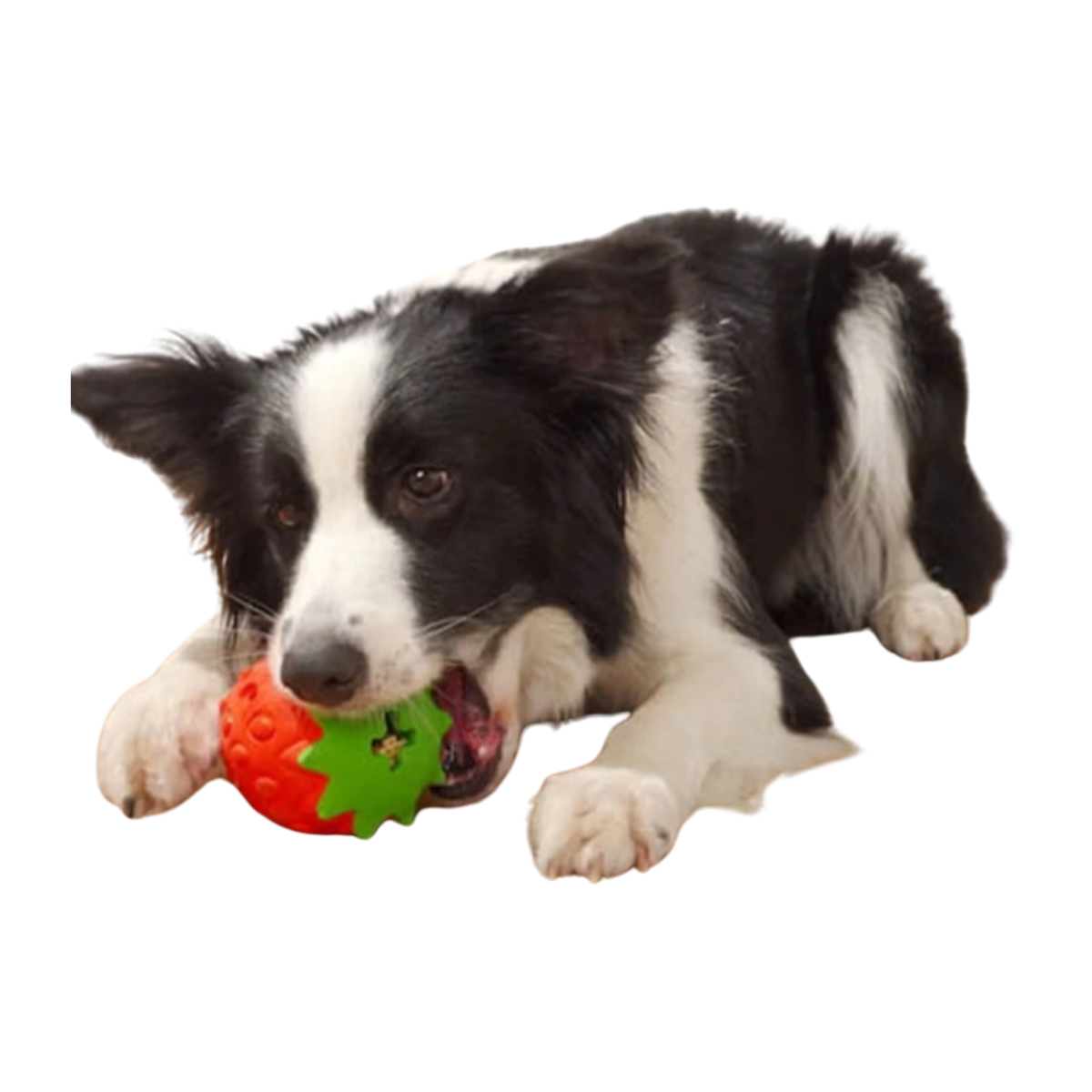 Fetch & Fill Berry toy