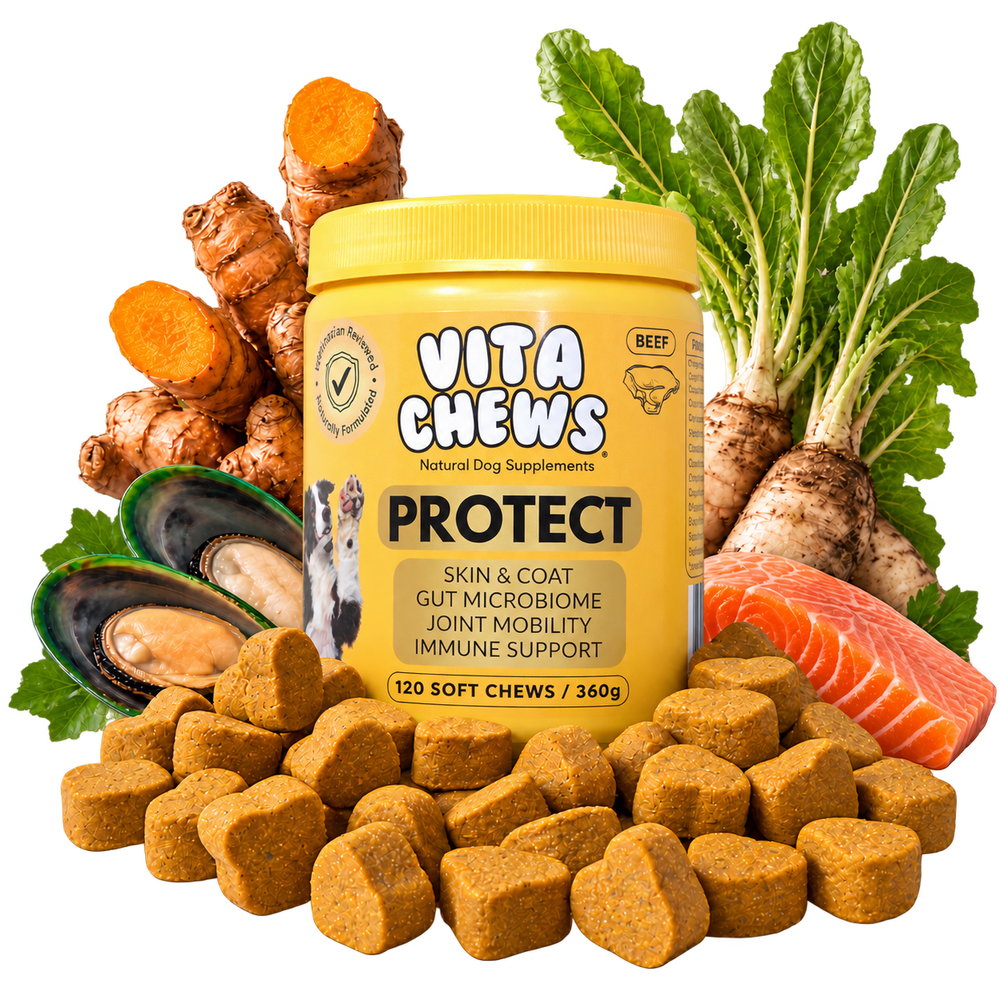 VitaChews™ Protect
