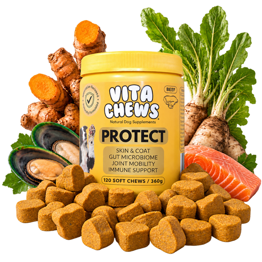 VitaChews™ Protect