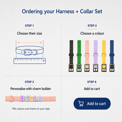 Collar & Harness Set - Personalised