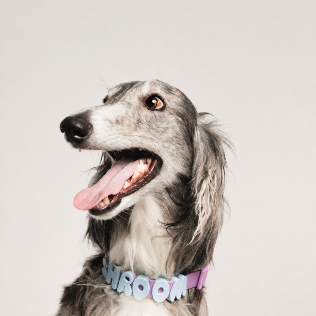 Personalised Charm Collar