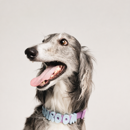 Personalised Charm Collar
