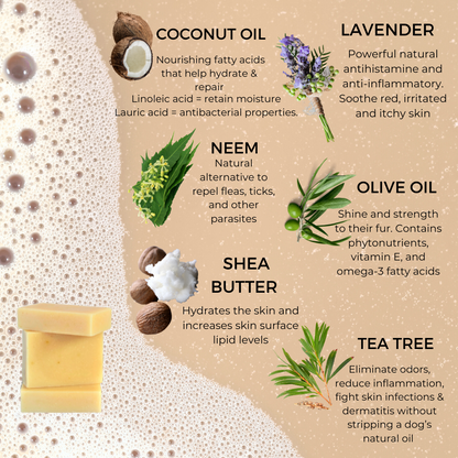 Natural Pet Wash - PH Balanced | Clean & Condition