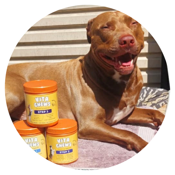 Dog name