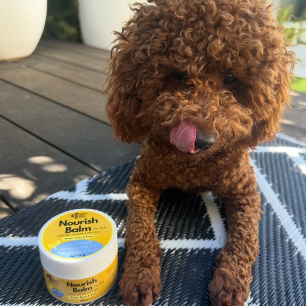 Nourish Balm | Paws, Nose & Body