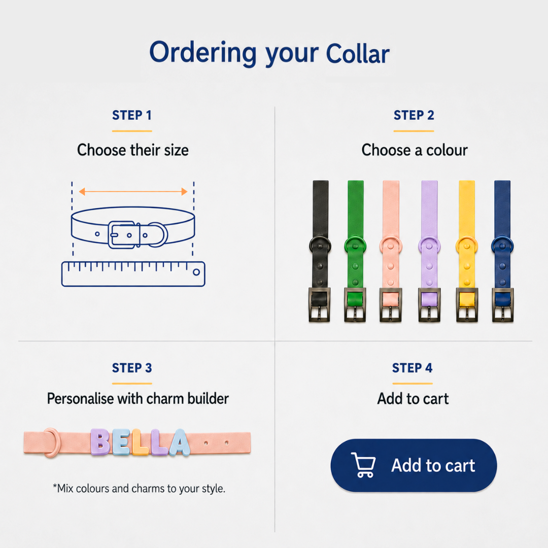 Personalised Charm Collar