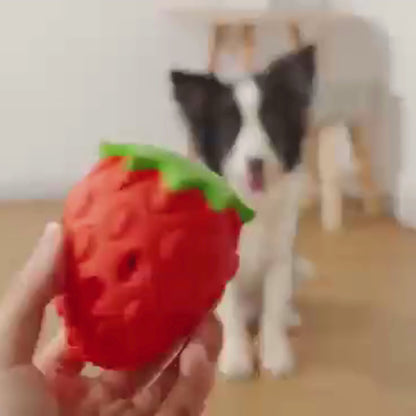 Fetch & Fill Berry toy