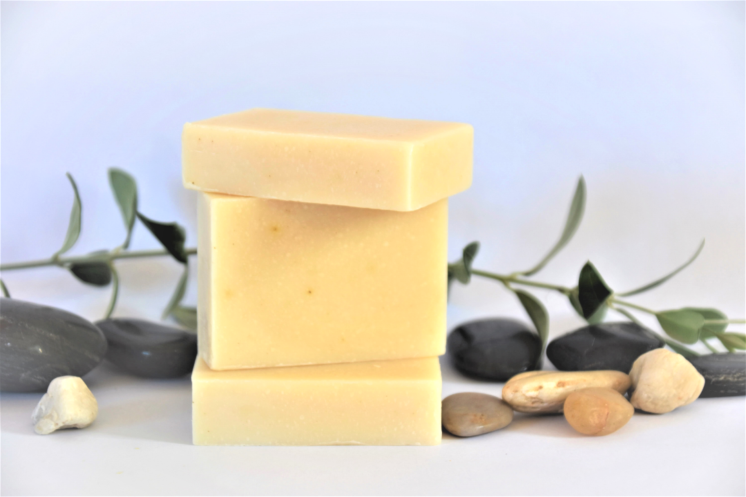 Natural Pet Wash - PH Balanced | Clean & Condition